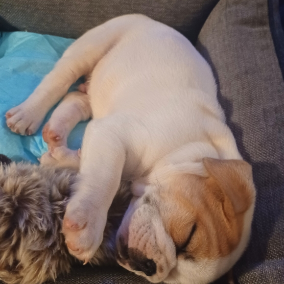 Meet your Posher, Christine - Picture 4 of 5